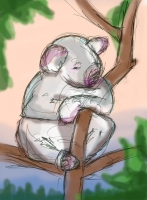 https://branjofarms.com/files/gimgs/th-65_65_koala3color.jpg